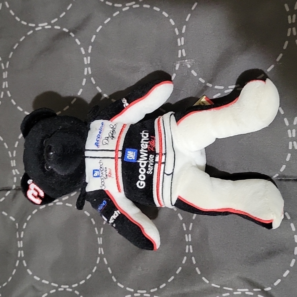 Team bears Dale Earhardt